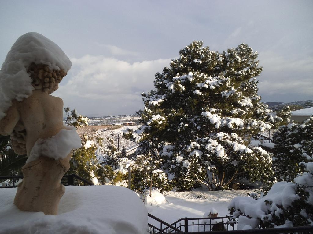 Etna Wine Azienda Agrituristica Passopisciaro ภายนอก รูปภาพ