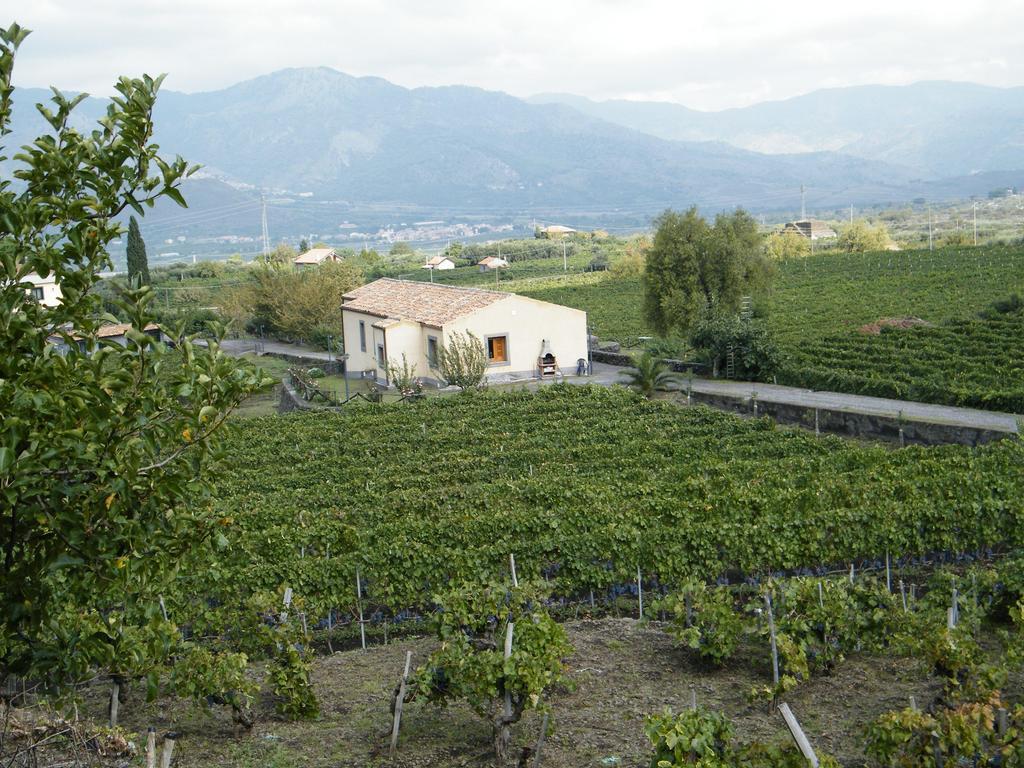 Etna Wine Azienda Agrituristica Passopisciaro ห้อง รูปภาพ
